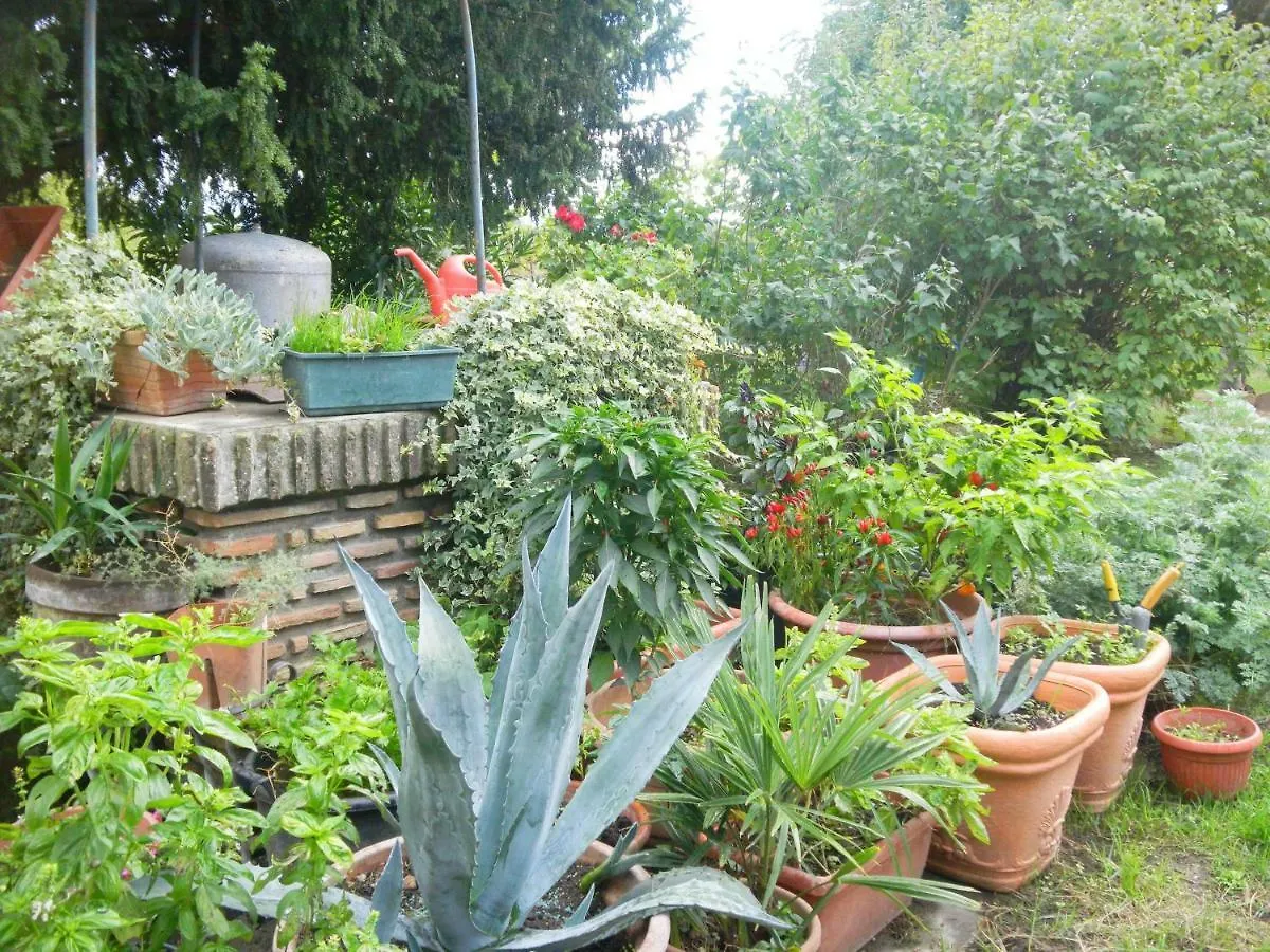 Apartment Appartamento Danilla Maratello Italy